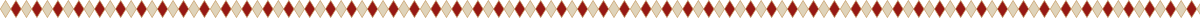Trenner_1.png